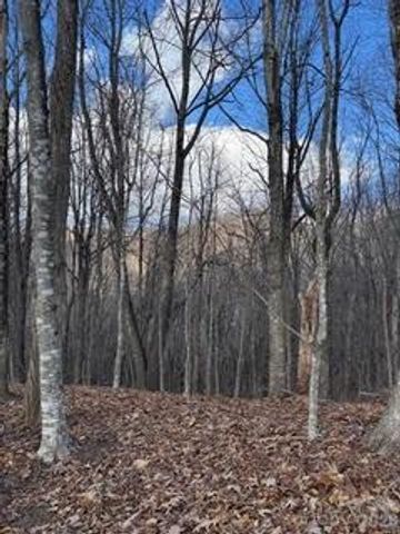 00 Mule Stomp Road, Clyde, NC 28721