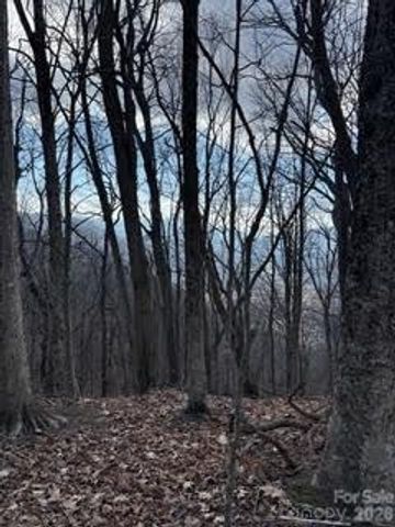 00 Mule Stomp Road, Clyde, NC 28721