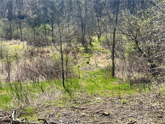 283 Mcclain Rd, Chippewa Twp, PA 15010