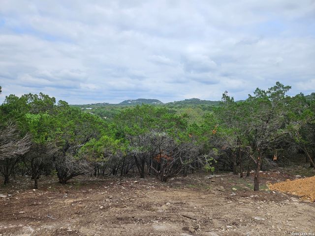 664 LUEHLFING DR, Canyon Lake, TX 78133