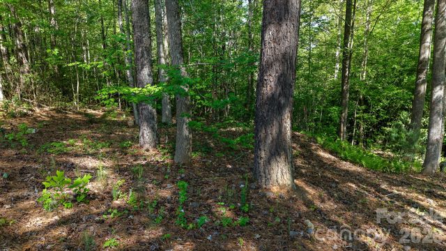 105 Beacon Ridge Drive, Connelly Springs, NC 28612