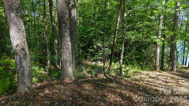 105 Beacon Ridge Drive, Connelly Springs, NC 28612