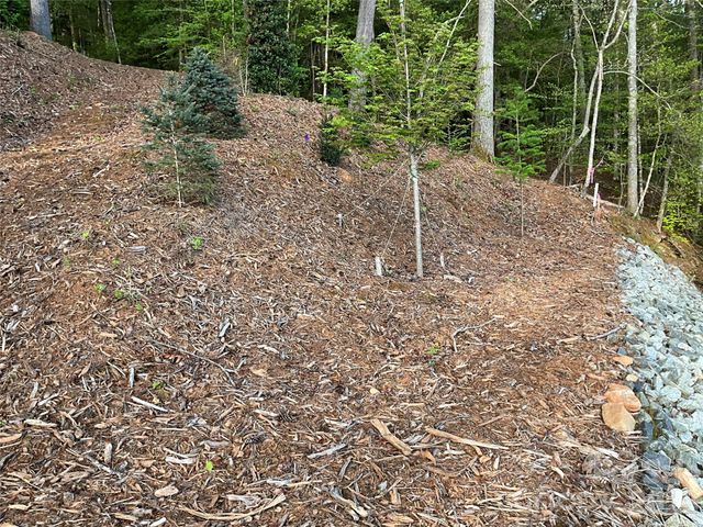 105 Beacon Ridge Drive, Connelly Springs, NC 28612