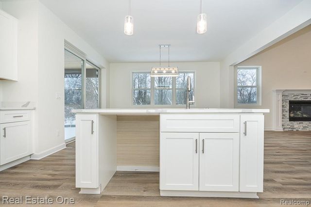 225 E Predmore Road, Oakland, MI 48363