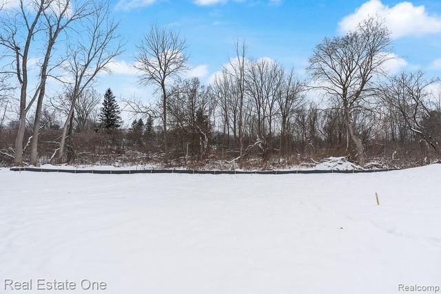 225 E Predmore Road, Oakland, MI 48363