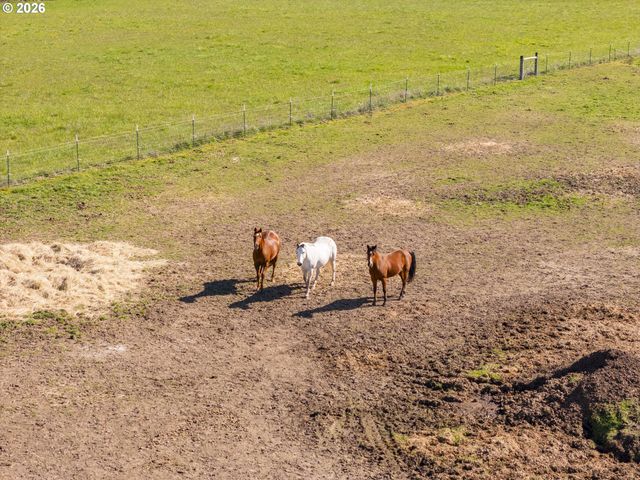 295 Kangas Rd, Toledo, WA 98591
