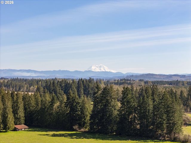 295 Kangas Rd, Toledo, WA 98591
