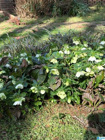 634 ODENA HEIGHTS CIRCLE, Sylacauga, AL 35150