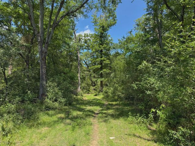 7117 Pr 3155, Buffalo, TX 75831