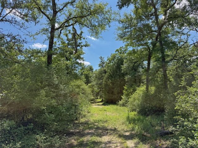 7117 Pr 3155, Buffalo, TX 75831