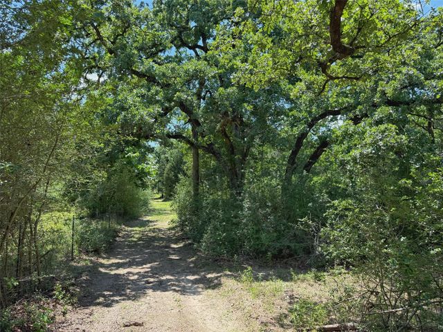 7117 Pr 3155, Buffalo, TX 75831