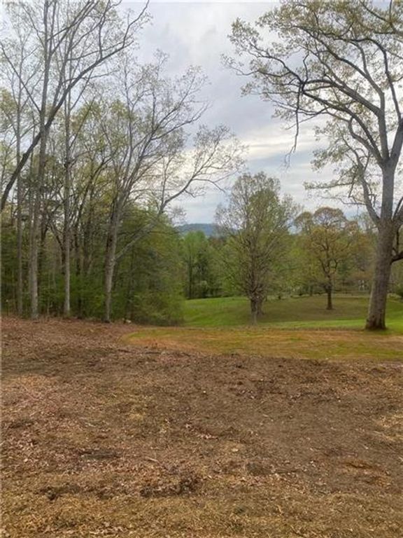 0 Hilltop Lane, Clarkesville, GA 30523