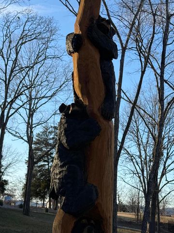 22946 Dalton Drive, Shell Knob, MO 65747