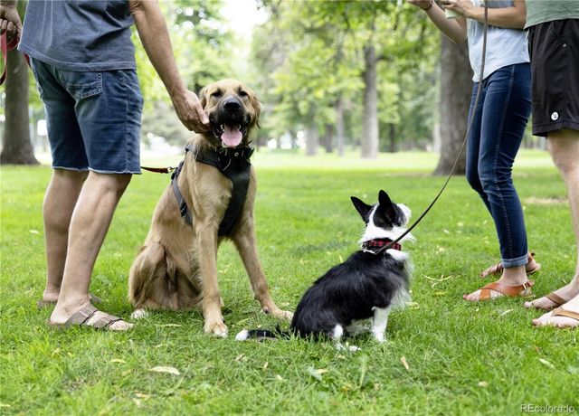 4975 Knox Court, Denver, CO 80221