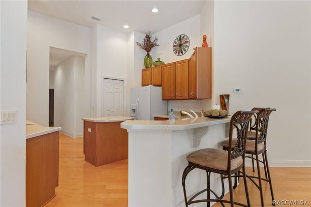 291 S Paladinn Circle, Inverness, FL 34453