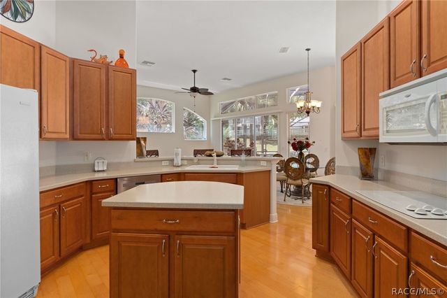 291 S Paladinn Circle, Inverness, FL 34453