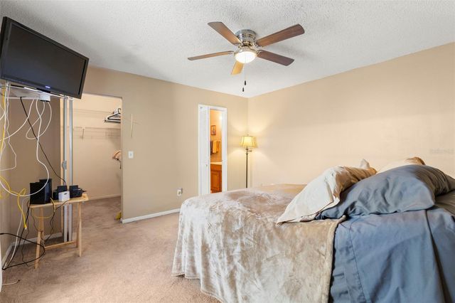 12709 TALL PINE DRIVE, Tampa, FL 33625