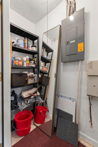 12709 TALL PINE DRIVE, Tampa, FL 33625