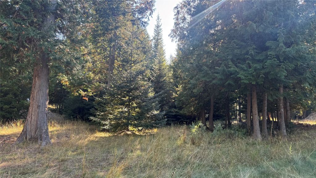 18731 Us Highway 2, Troy, MT 59935 photo 24