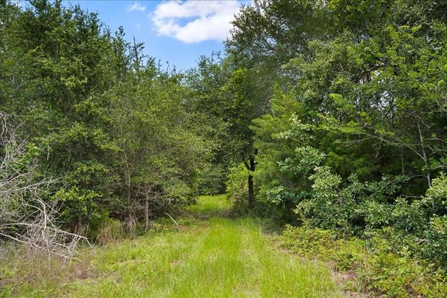 7824 Waldeck Cemetery Road, Round Top, TX 78954