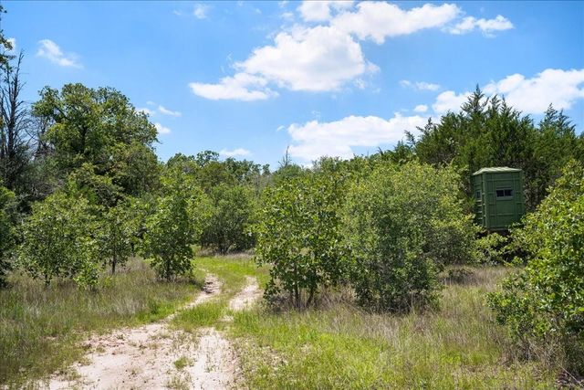 7824 Waldeck Cemetery Road, Round Top, TX 78954