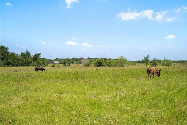 7824 Waldeck Cemetery Road, Round Top, TX 78954