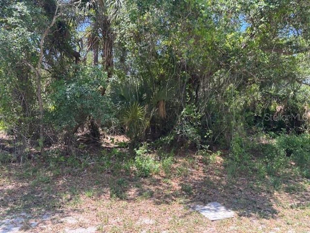 18423 FREMONT AVENUE, Port Charlotte, FL 33954