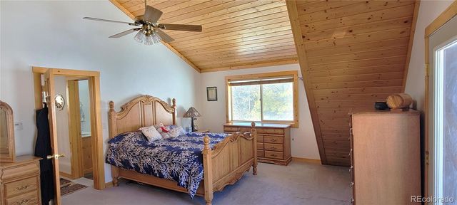 1321 Bristlecone Road, Guffey, CO 80820