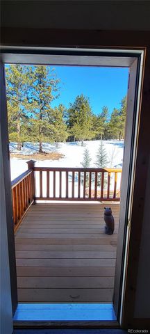 1321 Bristlecone Road, Guffey, CO 80820