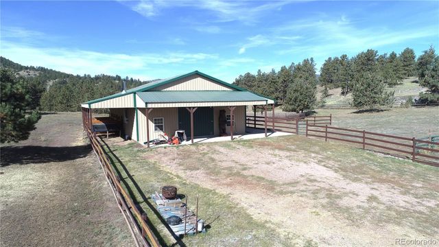 1321 Bristlecone Road, Guffey, CO 80820