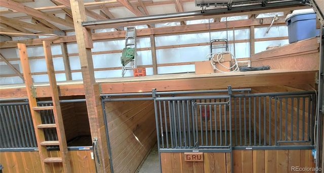 1321 Bristlecone Road, Guffey, CO 80820