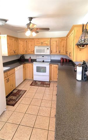 1321 Bristlecone Road, Guffey, CO 80820