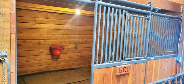 1321 Bristlecone Road, Guffey, CO 80820