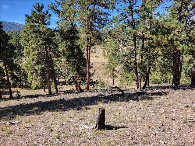 1321 Bristlecone Road, Guffey, CO 80820