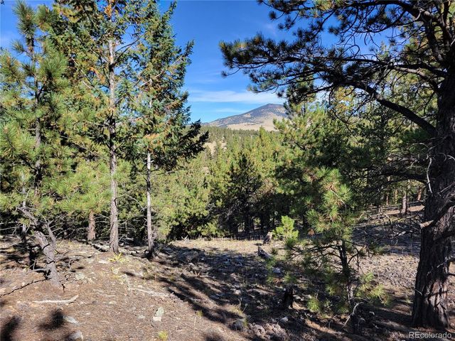 1321 Bristlecone Road, Guffey, CO 80820