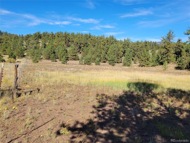 1321 Bristlecone Road, Guffey, CO 80820