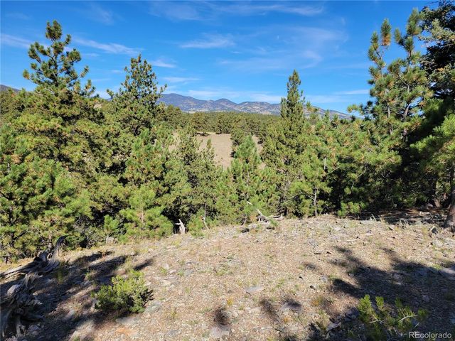1321 Bristlecone Road, Guffey, CO 80820