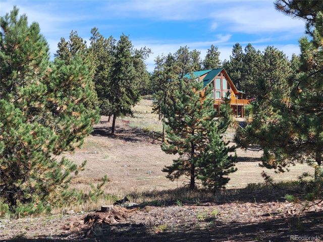 1321 Bristlecone Road, Guffey, CO 80820
