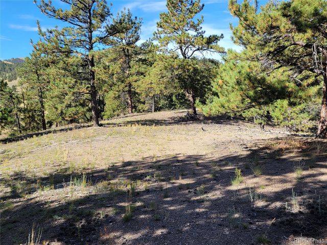 1321 Bristlecone Road, Guffey, CO 80820