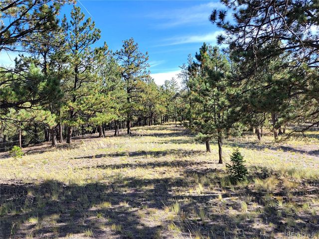 1321 Bristlecone Road, Guffey, CO 80820