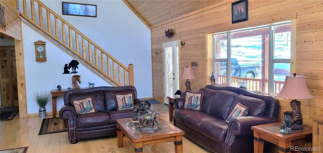 1321 Bristlecone Road, Guffey, CO 80820