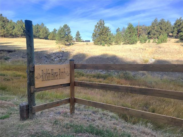 1321 Bristlecone Road, Guffey, CO 80820