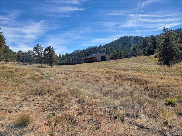 1321 Bristlecone Road, Guffey, CO 80820