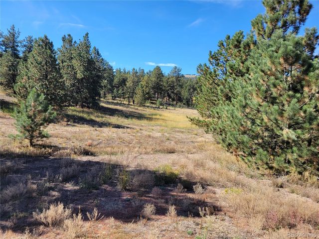 1321 Bristlecone Road, Guffey, CO 80820
