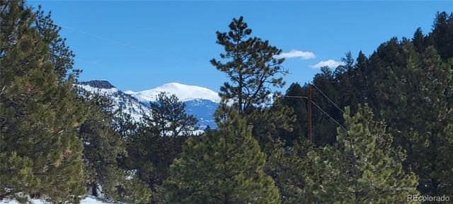 1321 Bristlecone Road, Guffey, CO 80820
