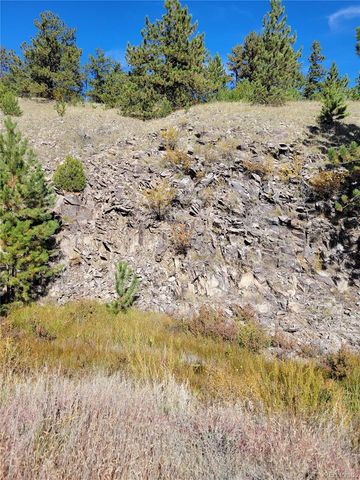 1321 Bristlecone Road, Guffey, CO 80820