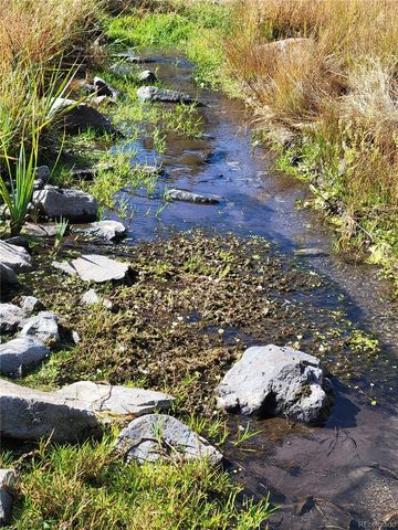 1321 Bristlecone Road, Guffey, CO 80820