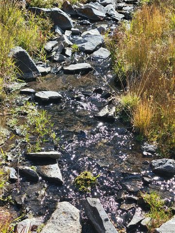 1321 Bristlecone Road, Guffey, CO 80820