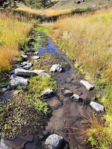 1321 Bristlecone Road, Guffey, CO 80820