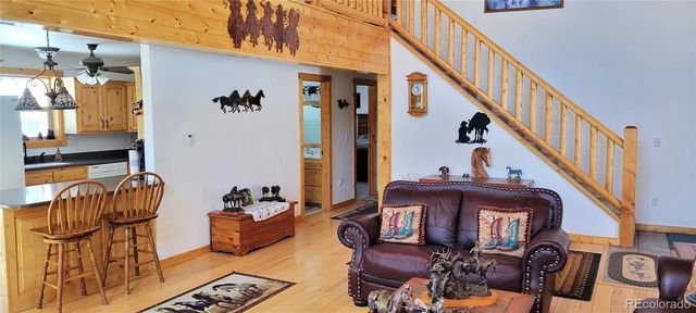 1321 Bristlecone Road, Guffey, CO 80820